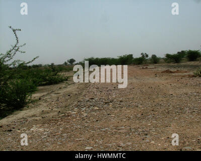 Straße im Bau, Paddy Fields Indian Village, Umspannwerk Bau, ländliche Straßen Entwicklung, Nordindien (PMGSY)(Copyright © Saji Maramon) Stockfoto