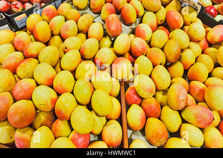 Kisten mit frischen süße saftige Mangos auf den Ladentisch des örtlichen Bauernmarkt in Paddys Markt von Sydney. Helles gelb-rote Steinfrüchte sind exotisch gesund Stockfoto