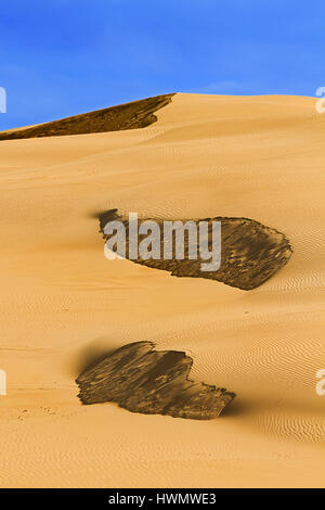 Unberührten Sanddünen der Wüste wie Landstape unter blauem Himmel. Dunkle Flecken an den Sanddünen Seiten Teil natürliche Textur und Struktur des Sandes. Stockfoto