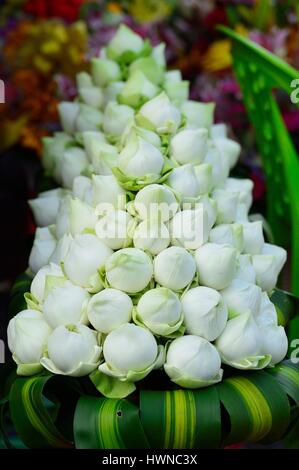 Kambodscha, Phnom Penh, Lotusblumen für Angebote Stockfoto
