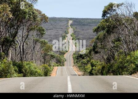 Australien, South Australia, Kangaroo Island, Straße im Busch Stockfoto