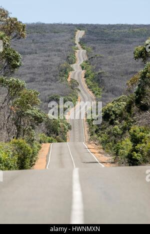 Australien, South Australia, Kangaroo Island, Straße im Busch Stockfoto