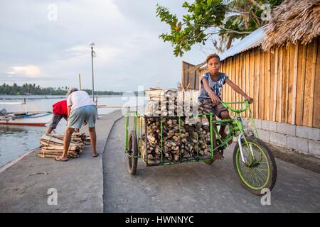Donsol, junge mit Holz auf einem Dreirad, Provinz Sorsogon, Luzon, Philippinen Stockfoto