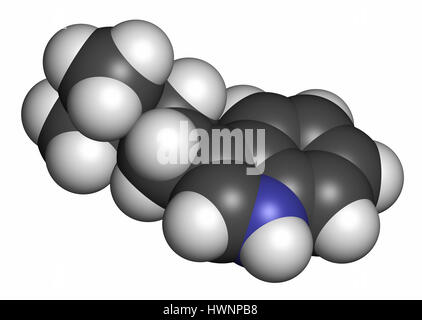 Dimethyltryptamin (DMT) psychedelische Droge Molekül. Das Getränk Ayahuasca zu präsentieren. 3D-Rendering. Atome werden als Kugeln mit konventionellen c dargestellt. Stockfoto