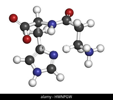 Carnosin (L-Carnosin) Nahrung Ergänzung Molekül. 3D-Rendering. Atome sind als Kugeln mit konventionellen Farbcodierung vertreten: (weiß), Wasserstoffauto Stockfoto