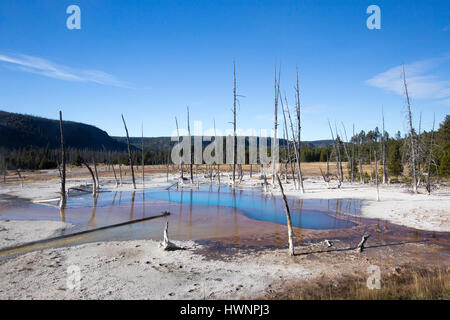 Schillernde Pool im Black Sand-Becken im Yellowstone National Park 9. Oktober 2015 in Yellowstone in Wyoming. Stockfoto