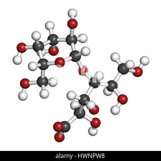 Lactobionic Acid (Lactobionate)-Molekül. Häufigsten verwendeten Zusatzstoff in Lebensmitteln, Arzneimitteln und Kosmetika. 3D-Rendering. Atome sind vertreten Stockfoto