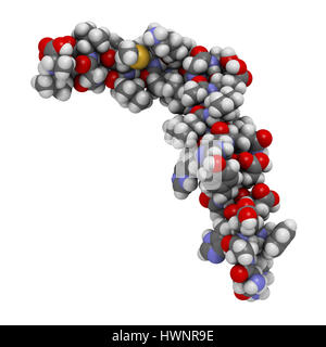 Beta-Amyloid (Abeta) Peptid, 3D rendering. Hauptbestandteil der Plaques bei Alzheimer-Krankheit gefunden. Atome sind als Kugeln mit Conventiona vertreten. Stockfoto