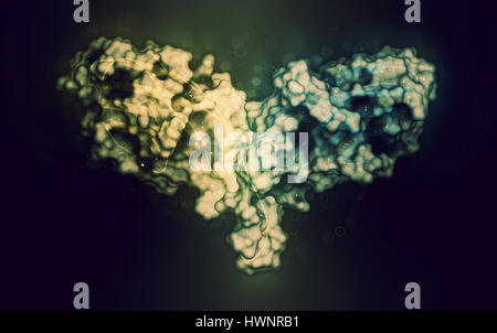 CTLA-4 (zytotoxischen T-Lymphozyten-assoziierten Protein 4, CD152) Protein, 3D rendering. CTLA4 blockierende Antikörper sind in der Krebstherapie (immun Checkp verwendet. Stockfoto