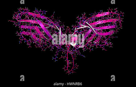 CTLA-4 (zytotoxischen T-Lymphozyten-assoziierten Protein 4, CD152) Protein, 3D rendering. CTLA4 blockierende Antikörper sind in der Krebstherapie (immun Checkp verwendet. Stockfoto