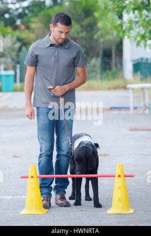 Mann Ausbildung Hund Stockfoto