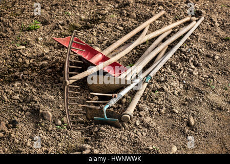 Verschiedene manuelle Gartenarbeit oder landwirtschaftliche Geräte, die auf dem Boden liegend mit Hacke, Rechen, Spaten, Schaufel und Gabeln Stockfoto