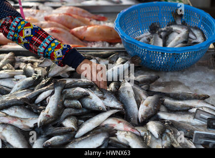 Thai Frau Wahl frischen Fisch auf dem lokalen Markt in Thailand Stockfoto