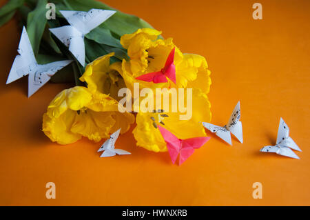 Bouquet von gelben Tulpen Closeup auf einem orangefarbenen Hintergrund mit Schmetterlingen Stockfoto