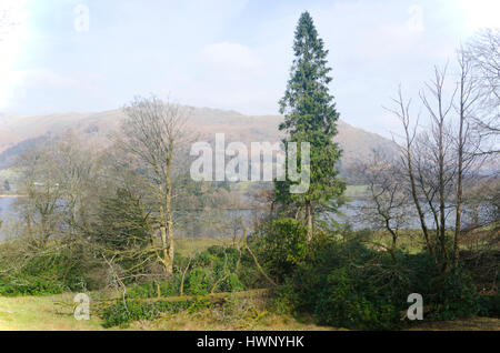 Grasmere, Lake District, Cumbria, England Stockfoto