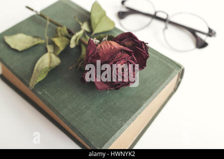 Altes Buch mit schönen roten getrockneten Rosen auf weißem Holz Hintergrund Stockfoto