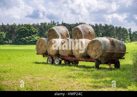 Rundballen Heu geerntet aus einem Feld in Ontario Kanada befinden sich auf einem roten Hof-Wagen. Stockfoto