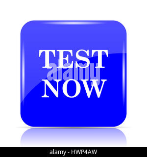 Testen Sie jetzt, blaue Website Symbolschaltfläche auf weißem Hintergrund. Stockfoto