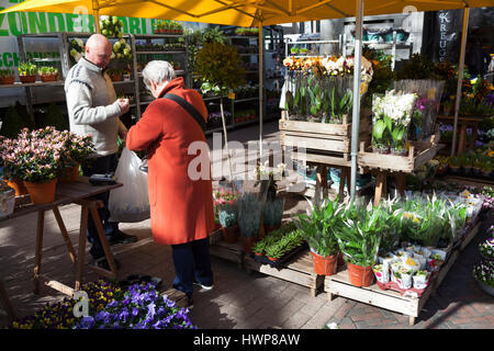 Utrecht, Niederlande, 15. März 2017: ältere Frau kauft Blumen am Marktstand in den Niederlanden Stockfoto