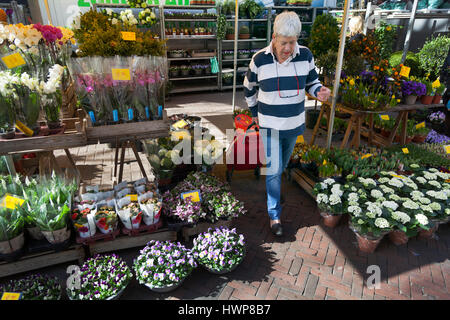 Utrecht, Niederlande, 15. März 2017: ältere Frau mit Einkaufswagen zwischen Blumen der Marktstand in den Niederlanden Stockfoto