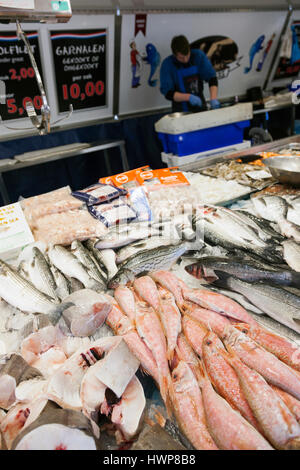 Utrecht, Niederlande, 15. März 2017: frischer Fisch und Verkäufer auf dem Markt von Utrecht in den Niederlanden Stockfoto