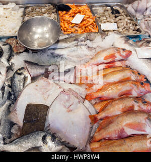 viele verschiedene Arten von frischer Meeresfisch auf Marketstall in den Niederlanden Stockfoto