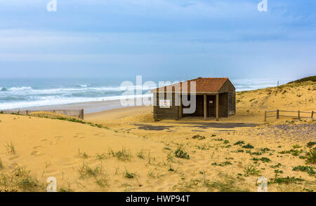 Dünen und Strand in Seignosse - Frankreich Stockfoto