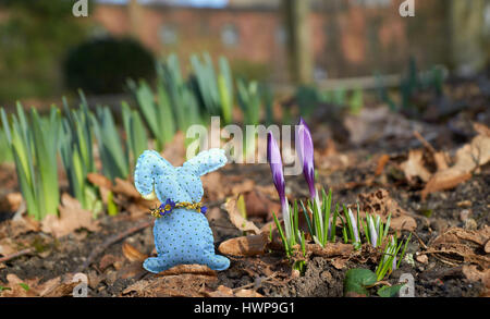 handgemachte Kaninchen zwischen Frühlingsblumen Stockfoto