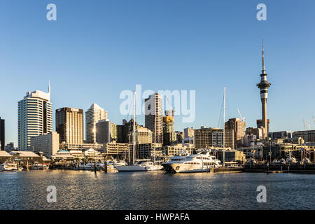 Sonnenuntergang über der Skyline von Auckland mit dem Sky Tower und dem Viadukt Yachthafen mit vielen luxuriösen Yacht, in der größten Stadt Neuseelands. Stockfoto