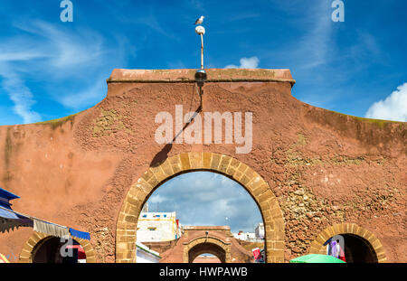 Tor in der Altstadt von Essaouira, Marokko Stockfoto