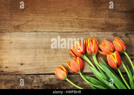 Aufwand erschossen ein Bouquet von orange und gelbe Tulpen über eine rustikale Holz Tischplatte. Flache Laien Draufsicht Stil. Stockfoto