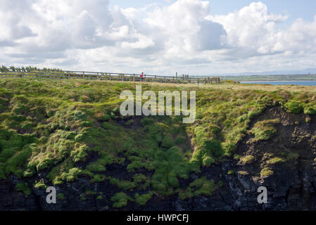 Cliff walk auf dem Wilden Atlantik Weg in Ballybunion County Kerry Irland Stockfoto