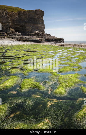 CWM Nash Strand, Marcross auf der Glamorgan Heritage Coast-Süd-Wales Stockfoto