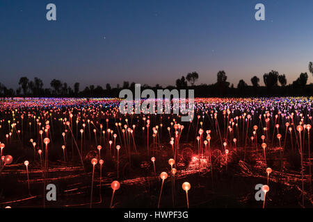Yulara, Australien - 12. Oktober 2016: Bereich des Lichts vom Künstler Bruce Monro am Ayers Rock / Uluru, Australien Stockfoto