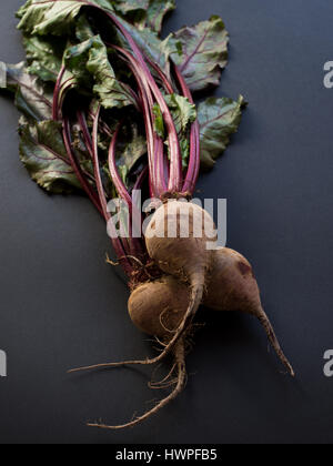 Bio rote Beete mit Blättern auf schwarzem Hintergrund isoliert Stockfoto