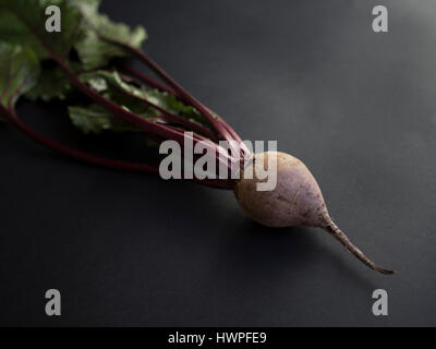 Bio rote Beete mit Blättern auf schwarzem Hintergrund isoliert Stockfoto