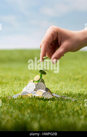 Münzen auf Rasen Stockfoto