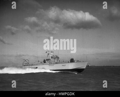 AJAX-NEWS & FEATURE SERVICE. 5. OKTOBER 1956. SOLENT, ENGLAND. -DUNKLE KLASSE MTB/MGB SCHNELLES PATROUILLE BOOT DUNKLE ROVER (P1107) MIT GESCHWINDIGKEIT.  FOTO: AJAX NEWS & FEATURE-SERVICE/VT-SAMMLUNG REF: VT2244 Stockfoto