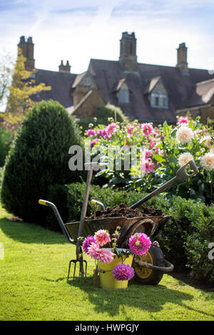 Re machen Kompost im Wardington Manor in der Nähe von Banbury, Oxfordshire - Verbreitung Kompost unter den Dahlien Stockfoto