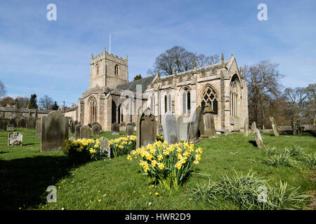 Rolmaldkirk Kirche, Teesdale, County Durham UK. Dienstag, 4. April 2017. Großbritannien Wetter. Narzissen blühen in der Frühlingssonne, als das warme Frühlingswetter in Nordengland weiter. Bildnachweis: David Forster/Alamy Live-Nachrichten Stockfoto