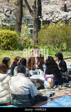 Tokio, Japan. 4. April 2017. Die Menschen genießen die Kirschblüten im Chidorigafuchi Park am 4. April 2017, Tokio, Japan. Die Japan Meteorological Agency verkündete, dass Tokios Kirschbäume in voller Blüte am Sonntagmorgen basierend auf Messungen am Yasukuni-Schrein. Chidorigafuchi Park ist ein Tokio die beliebtesten Standorte für Hanami (Kirschblütenschau) in dieser Saison. Bildnachweis: Rodrigo Reyes Marin/AFLO/Alamy Live-Nachrichten Stockfoto