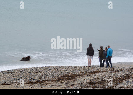 Marazion, Cornwall, UK. 4. April 2017. Großbritannien Wetter. Bewölkt Morgen in Marazion bei Ostern Urlaubern zu Warm einpacken. Allerdings wird die Sonne, später in den Tag erwartet. Bildnachweis: Cwallpix/Alamy Live-Nachrichten Stockfoto