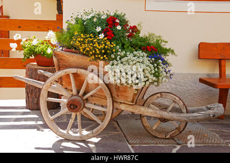 Leiterwagen mit Blumen von zu Hause in der Nähe von Kastelruth, Italien Stockfoto