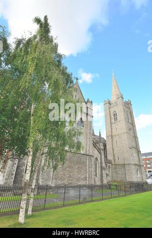 St. Patricks Kathedrale Spire und grünen Rasen in Dublin, Irland Stockfoto
