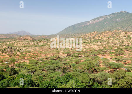 Kenia, Berglandschaft in der Umgebung von South Horr Dorf von Samburu Leute auf dem Weg zum Turkana-See Stockfoto