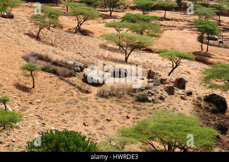 Kenia, Landschaften Berg in der Umgebung von South Horr Dorf von Samburu Leute auf dem Weg zum Turkana-See. Stockfoto