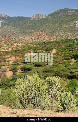 Kenia, Berglandschaft in der Umgebung von South Horr Dorf von Samburu Leute auf dem Weg zum Turkana-See Stockfoto