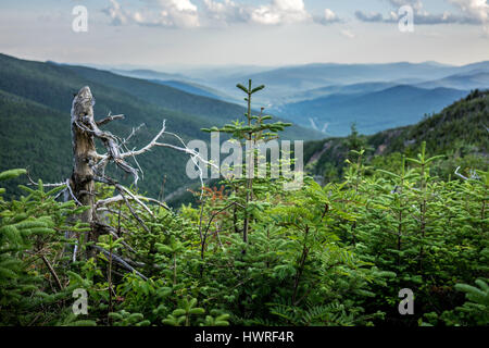 Ein Blick für immer von der Spitze des Franconia Ridge auf dem New Hampshire-Abschnitt des Appalachian Trail. Stockfoto