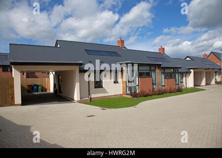 Neue semi-Bungalows alle mit solar Schwarz pv Panels persimmon greenacres Bishops Cleeve Cheltenham uk freistehende Stockfoto