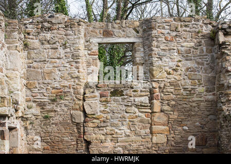 Basingwerk Abbey historischen Ruinen in Greenfield, in der Nähe von Holywell Nord-Wales. Stockfoto